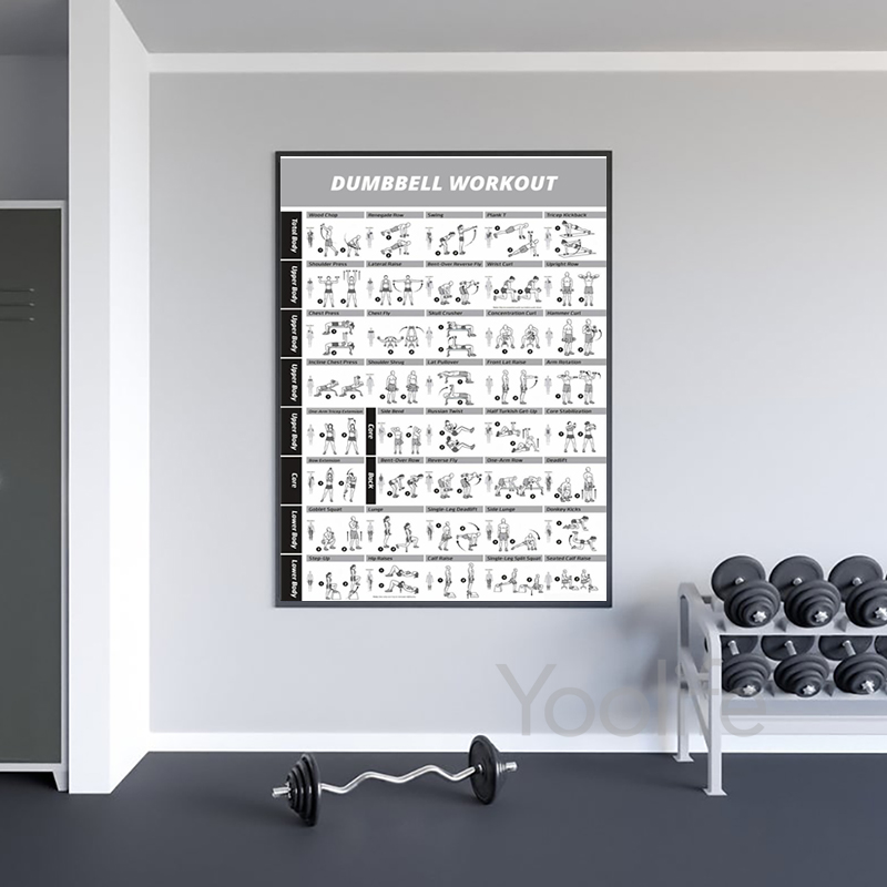 Plakaty z schematami ćwiczeń,  – Sports Equipment Poster recenzja i cena